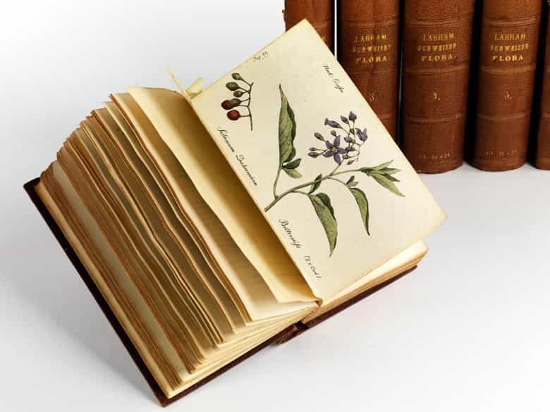 Detailabbildung: Jonas David Hegetschweiler