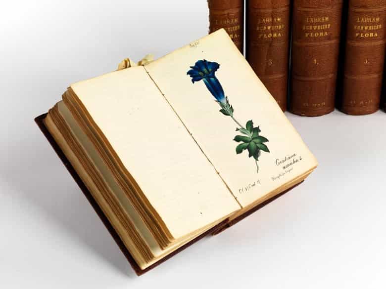 Detailabbildung: Jonas David Hegetschweiler