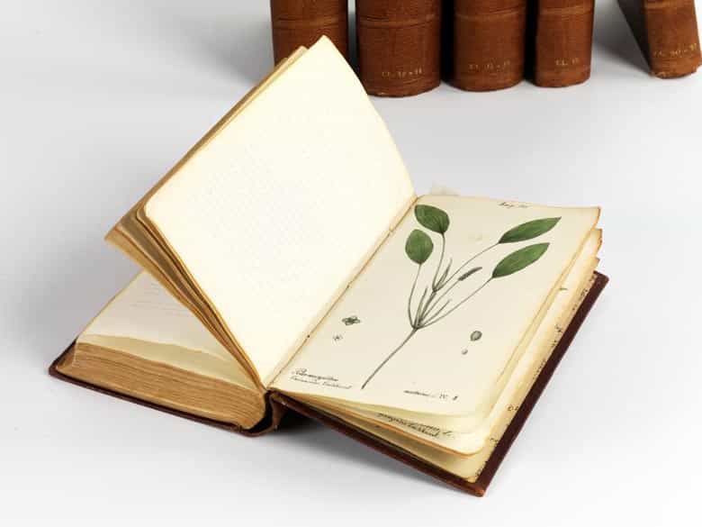 Detailabbildung: Jonas David Hegetschweiler