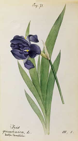 Detailabbildung: Jonas David Hegetschweiler