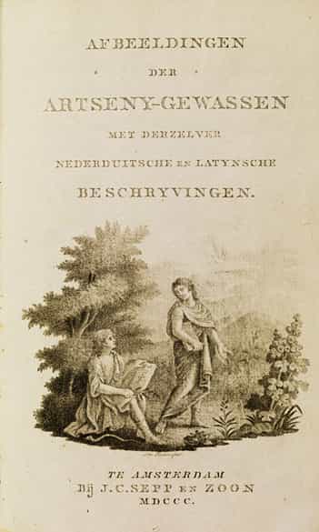 Detailabbildung: J. ZORN