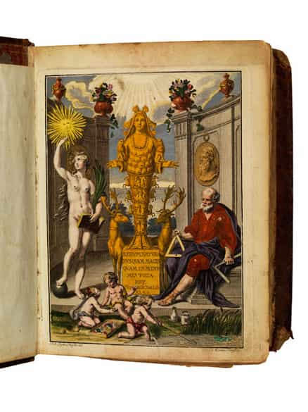 Detailabbildung: August Johann Rösel von Rosenhof