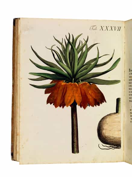 Detailabbildung: K. W. Juch