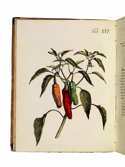 Detailabbildung: K. W. Juch