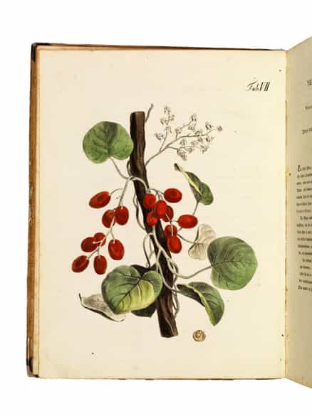 Detailabbildung: K. W. Juch