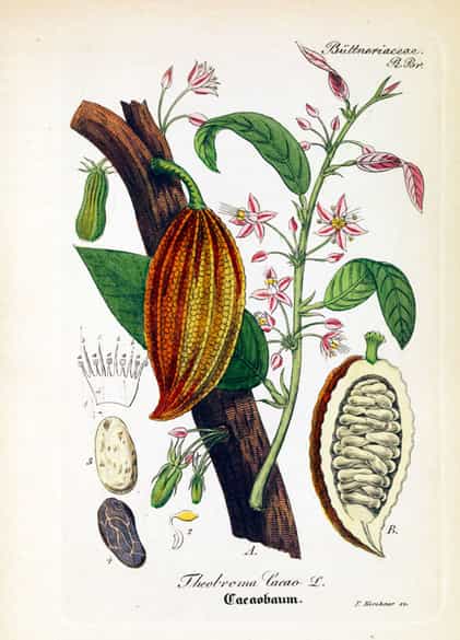 Detailabbildung: W. Artus