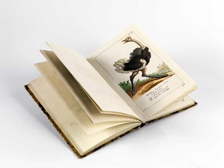 Detailabbildung: Georg Heinrich Borowski