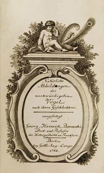 Detailabbildung: Georg Heinrich Borowski