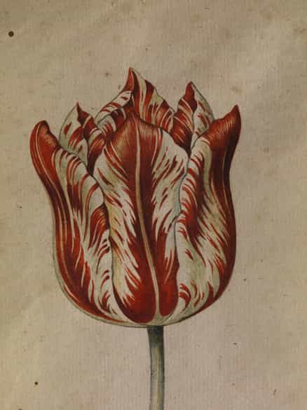 Detailabbildung: Anthony Claesz I., 1592 Niederlande - 1635 