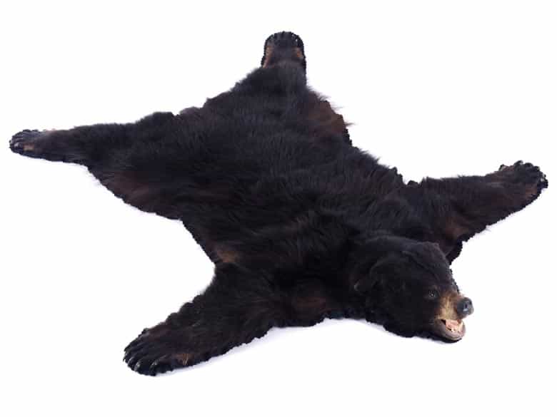 Detailabbildung: Bärenfell