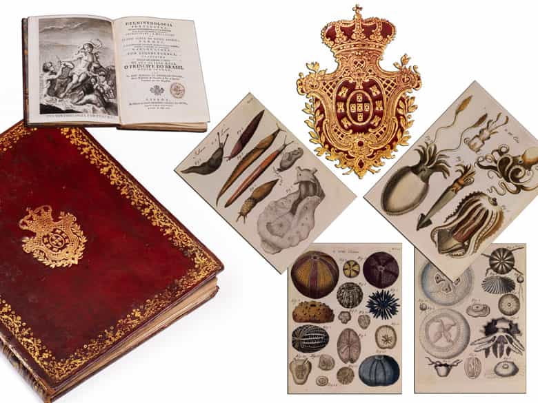 Detailabbildung: † Bibliothek No. 1 Eine große Bibliothek mit 1130 Büchern des 18. Jahrhunderts, Louis XIV und Louis XV.