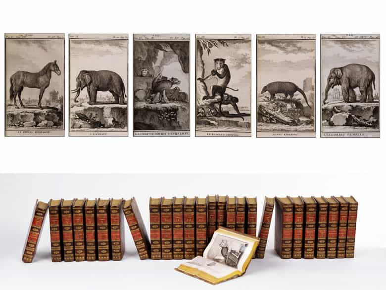 Detailabbildung: † Bibliothek No. 4 Zweite Hälfte des 19. Jahrhunderts sowie einige Bände des ausgehenden 18. und des beginnenden 20. Jahrhunderts