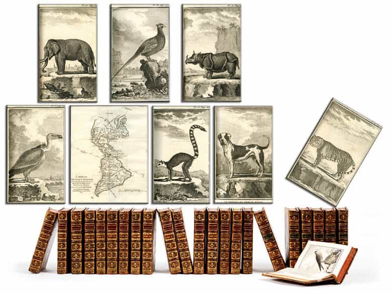 Detailabbildung: † Bibliothek No. 2 Eine Bibliothek bestehend aus 1002 Büchern des 18. Jahrhunderts