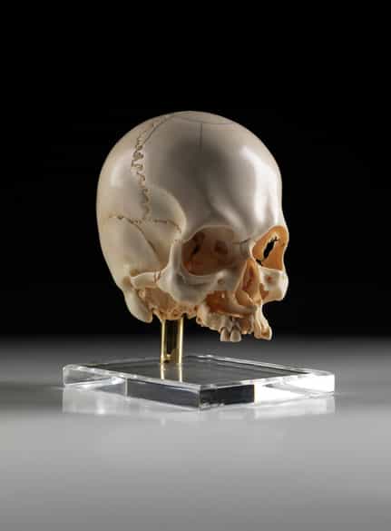 Detailabbildung: Kunstkammerobjekt