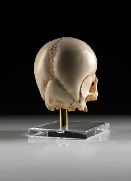 Detailabbildung: Kunstkammerobjekt