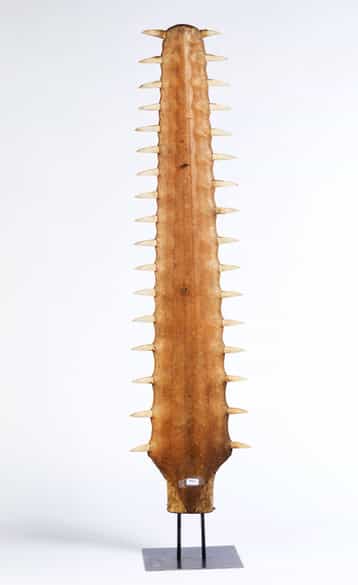 Detailabbildung: Kunstkammerobjekt