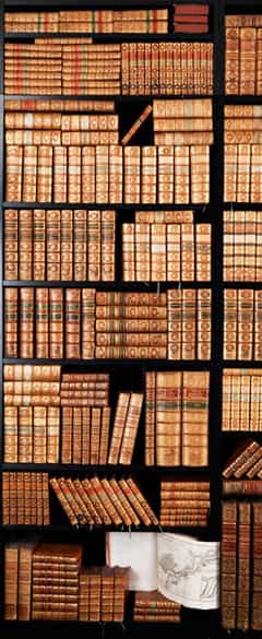 Detailabbildung: Eine Bibliothek aus süddeutschem Adelsbesitz