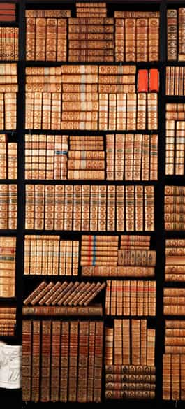 Detailabbildung: Eine Bibliothek aus süddeutschem Adelsbesitz