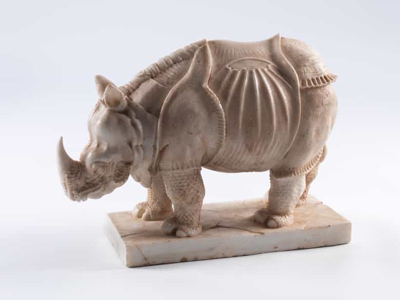 Detailabbildung: Rhinozeros