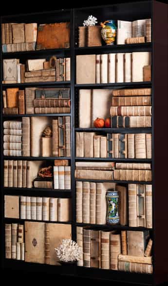 Detailabbildung: Weiße Bibliothek