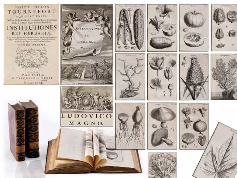 Detailabbildung: Eine dekorative Bibliothek mit mehr als 900 prächtigen Einbänden des 17. und 18. Jahrhunderts A decorative library with more than 900 sumptuously bound books from the 17th and 18th centuries