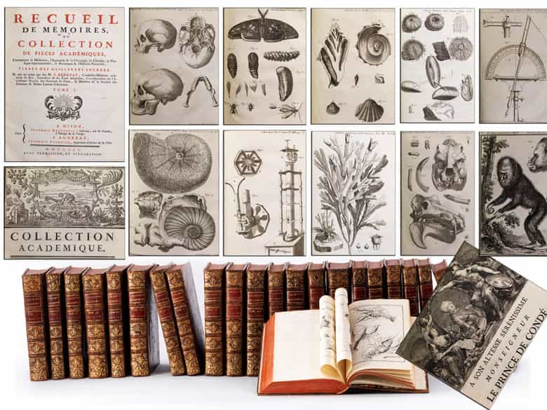 Detailabbildung: Eine dekorative Bibliothek mit mehr als 900 prächtigen Einbänden des 17. und 18. Jahrhunderts A decorative library with more than 900 sumptuously bound books from the 17th and 18th centuries