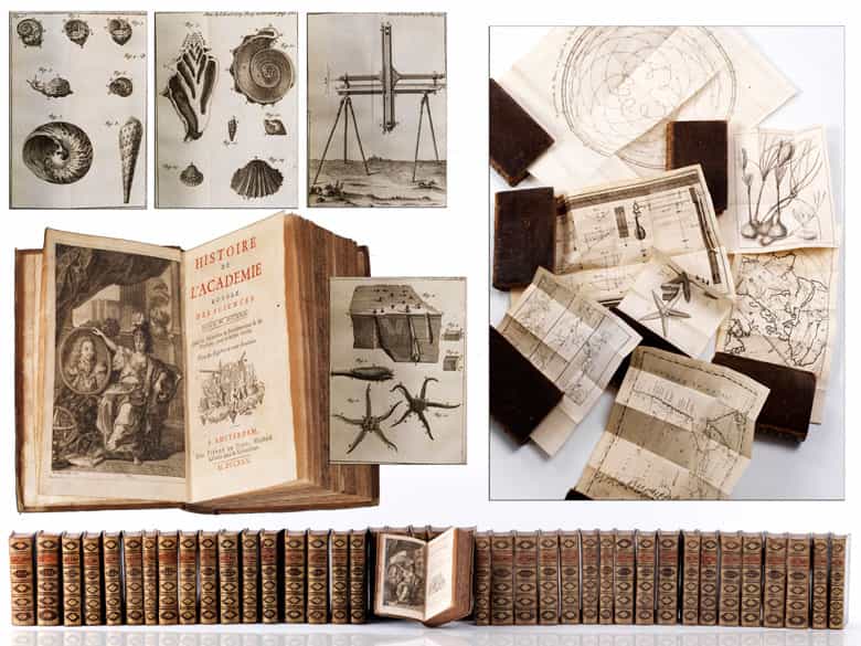 Detailabbildung: Eine dekorative Bibliothek mit mehr als 900 prächtigen Einbänden des 17. und 18. Jahrhunderts A decorative library with more than 900 sumptuously bound books from the 17th and 18th centuries