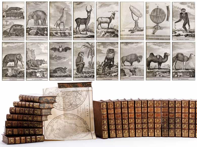 Detailabbildung: Eine dekorative Bibliothek mit mehr als 900 prächtigen Einbänden des 17. und 18. Jahrhunderts A decorative library with more than 900 sumptuously bound books from the 17th and 18th centuries
