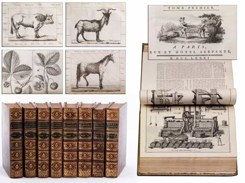 Detailabbildung: Eine dekorative Bibliothek mit mehr als 900 prächtigen Einbänden des 17. und 18. Jahrhunderts A decorative library with more than 900 sumptuously bound books from the 17th and 18th centuries