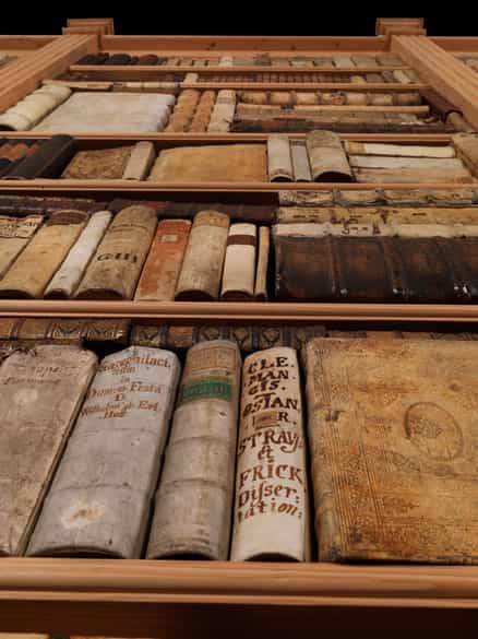 Detailabbildung: Dekorative Bibliothek mit 603 Bänden