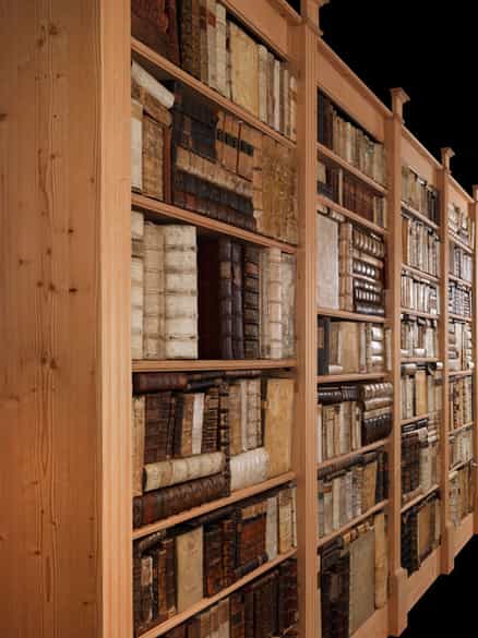 Detailabbildung: Dekorative Bibliothek mit 603 Bänden