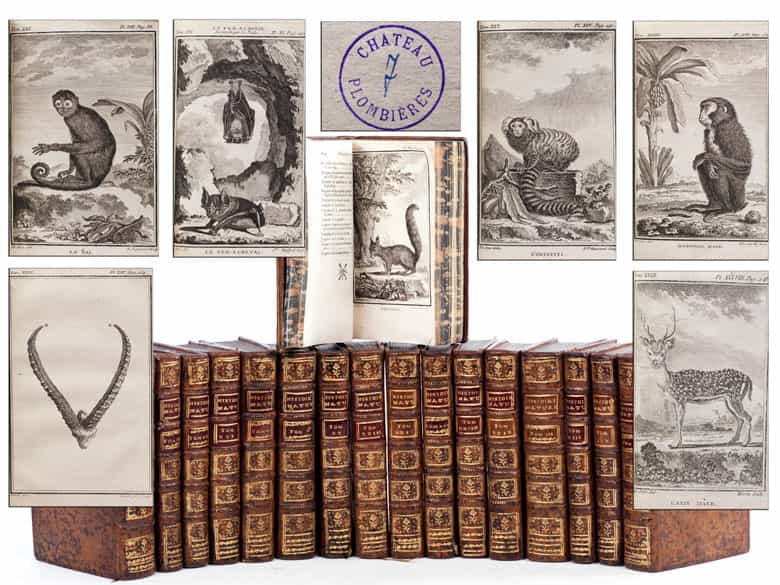 Detailabbildung: Bibliothek Nr. I