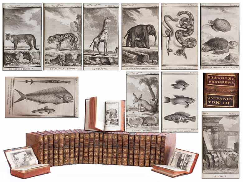 Detailabbildung: Bibliothek Nr. I