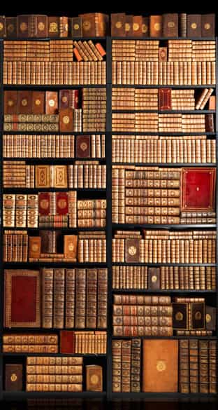 Detailabbildung: Bibliothek Nr. I