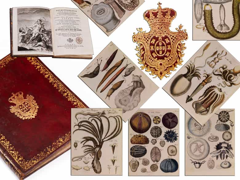 Detailabbildung: Bibliothek Nr. II