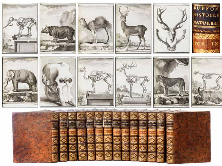 Detailabbildung: Bibliothek Nr. II