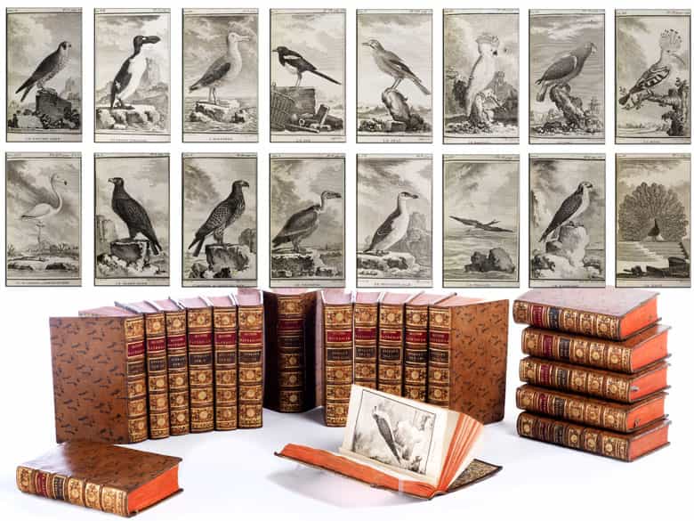 Detailabbildung: Bibliothek Nr. II