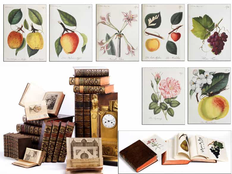 Detailabbildung: Bibliothek Nr. II