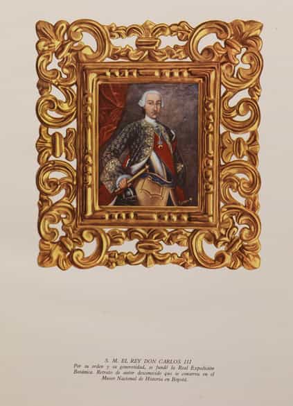 Detailabbildung: † Drei ledergebundene Faksimilebände des spanischen, botanischen Werkes