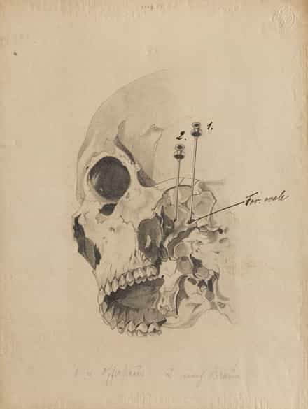 Detailabbildung: Konvolut von drei Bleistiftzeichnungen