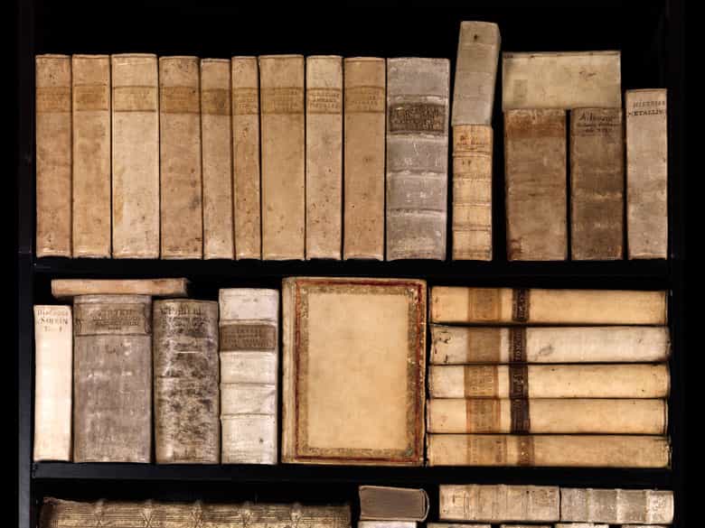 Detailabbildung: Weiße Bibliothek mit Werken des 16. - 18. Jahrhunderts