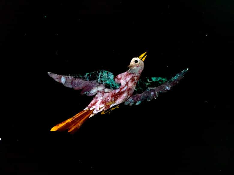 Detailabbildung: Enrico Hugford, 1695 - 1771 und Lamberto Cristiano Gori, 1730 - 1801 