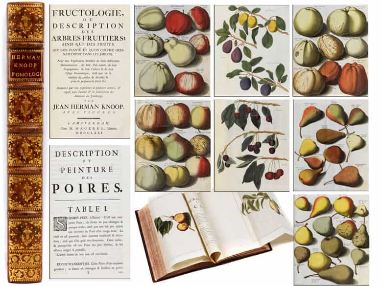 Detailabbildung: † Eine große Bibliothek mit 1054 Büchern des 18. Jahrhunderts aus der Zeit von König Louis XIV, Louis XV und Louis XVI