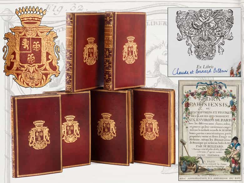 Detailabbildung: † Eine große Bibliothek mit 1054 Büchern des 18. Jahrhunderts aus der Zeit von König Louis XIV, Louis XV und Louis XVI