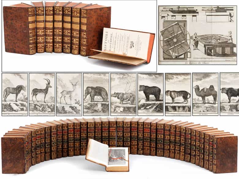 Detailabbildung: † Eine große Bibliothek mit 1054 Büchern des 18. Jahrhunderts aus der Zeit von König Louis XIV, Louis XV und Louis XVI