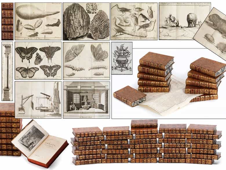 Detailabbildung: † Eine große Bibliothek mit 1054 Büchern des 18. Jahrhunderts aus der Zeit von König Louis XIV, Louis XV und Louis XVI