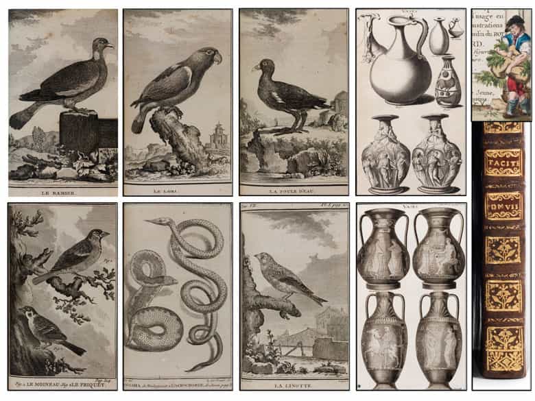 Detailabbildung: † Eine große Bibliothek mit 1054 Büchern des 18. Jahrhunderts aus der Zeit von König Louis XIV, Louis XV und Louis XVI