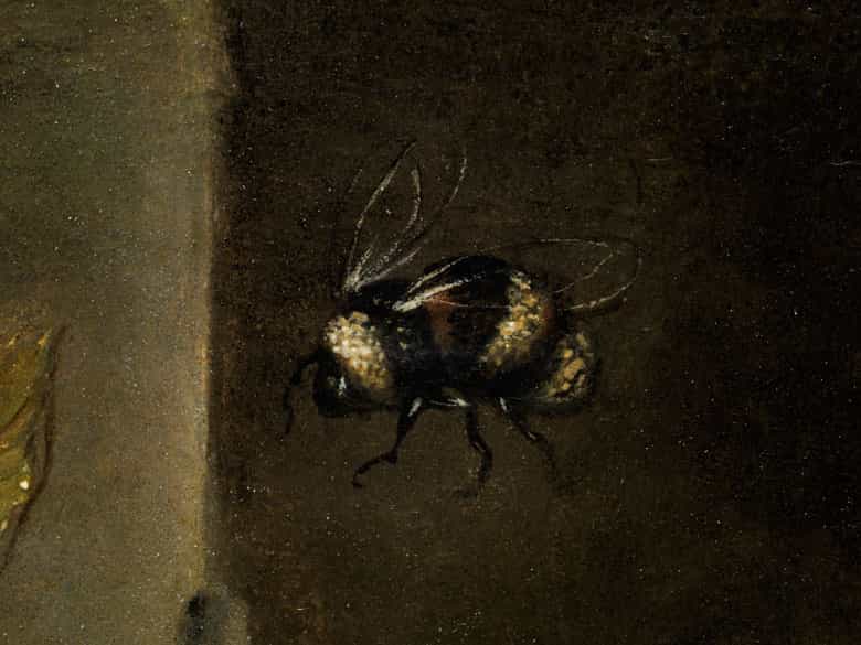 Detailabbildung:  Balthasar van der Ast, 1593 - 1657