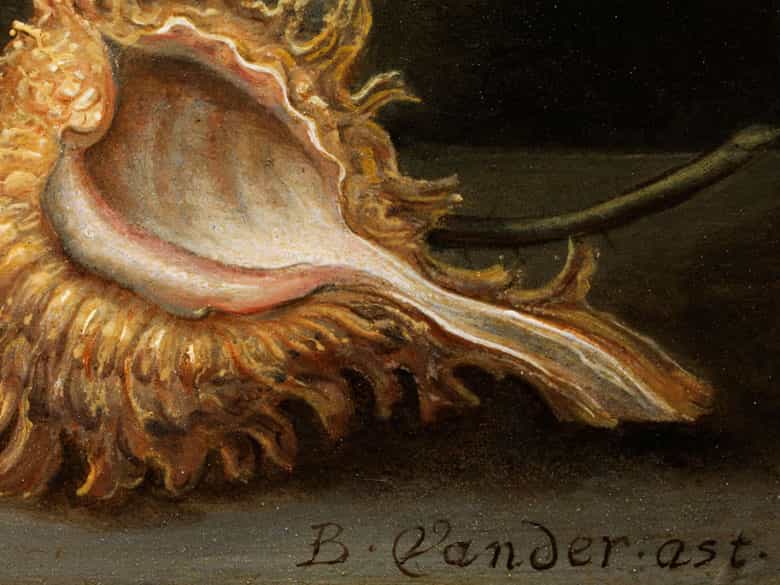 Detailabbildung:  Balthasar van der Ast, 1593 - 1657
