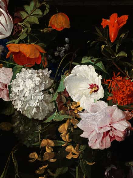 Detailabbildung: Hieronymus Galle d. Ä., 1625 - 1679